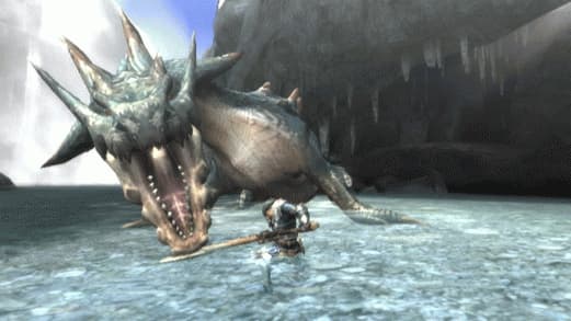 Monster Hunter 3: Tri (Wii)