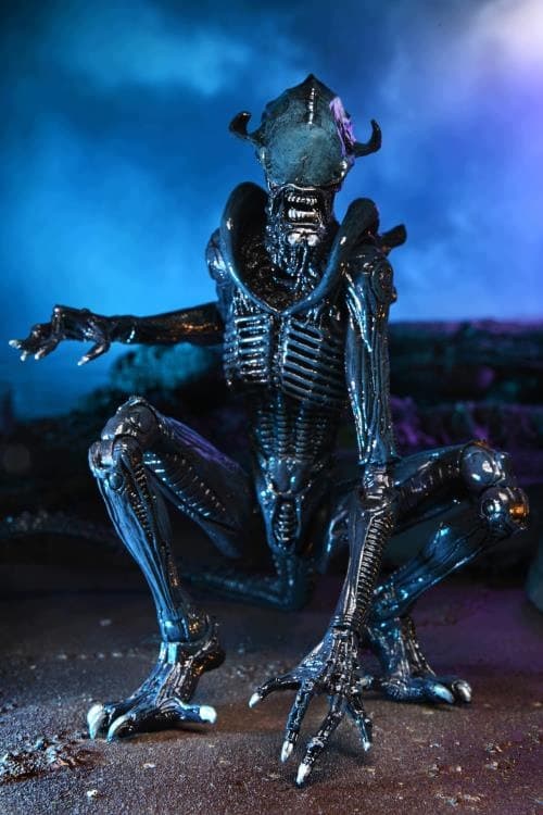 Alien vs. Predator Arachnoid Movie Deco