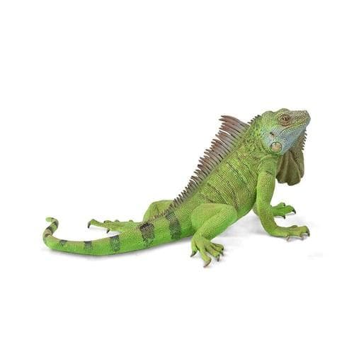 IGUANA FIGURINE 88965 COLLECTA [FIGURINE]