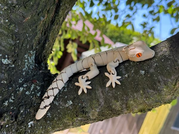 3D Eyelash Gecko – segmented figurine, movable toy, terrarium decoration