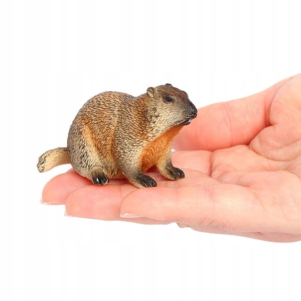 4x Marmots – Model Figures, Decorative Marmots, Desk Decorations