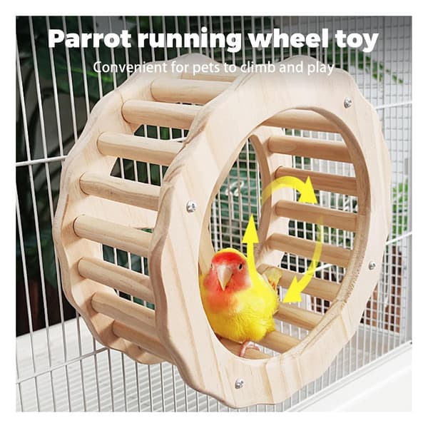 Interactive bird toy – with a perch and a wheel – designed to stimulate development