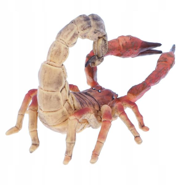 Simulation: Children’s Halloween Toy Gift Party Model