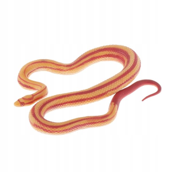Animals Action figure models Educational science Educational snake