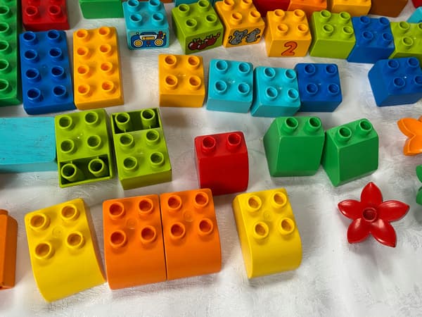 LEGO DUPLO assorted bricks SET
