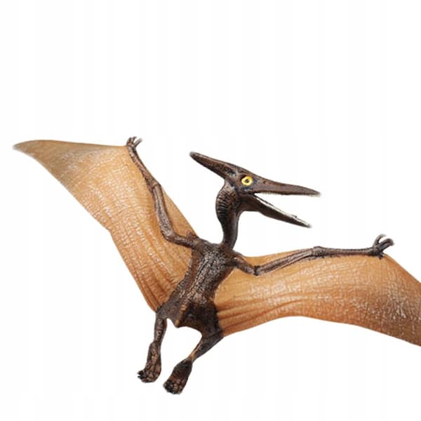 Simulation: Pterosaur and Pterodactyl Dinosaur Models