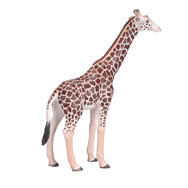 Mojo the male giraffe