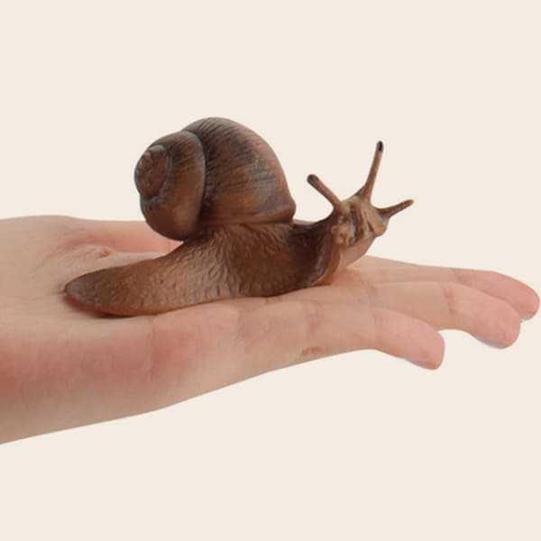 4-PIECE REALISTIC SNAIL MODEL – CAKE DECORATION AND EDUCATIONAL AID