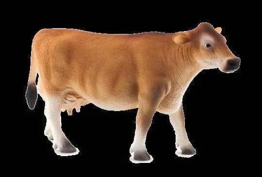 Mojo Jersey Cow
