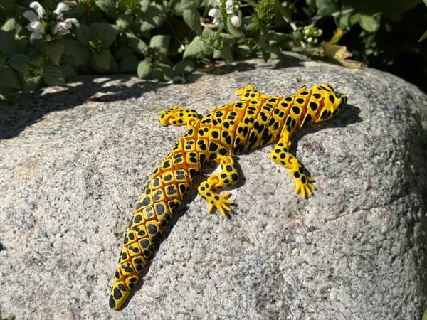 3D Leopard Gecko – a realistic segmented figurine, terrarium decoration