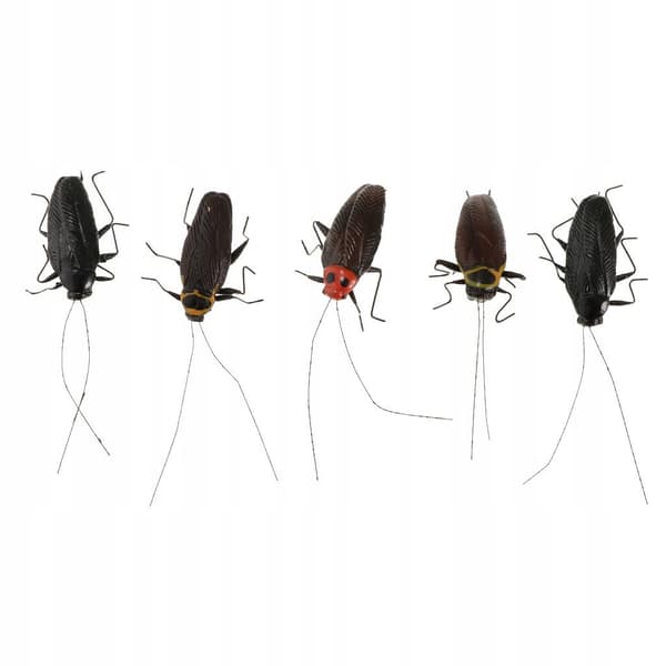 5-Piece Creative Best-Selling Artificial Cockroach Animal Model Simulation Set