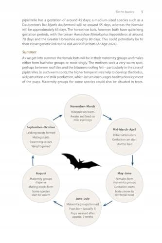 IDENTIFYING BATS OF BRITAIN AND IRELAND: A FIELD WORKER'S GUIDE (BOOK)