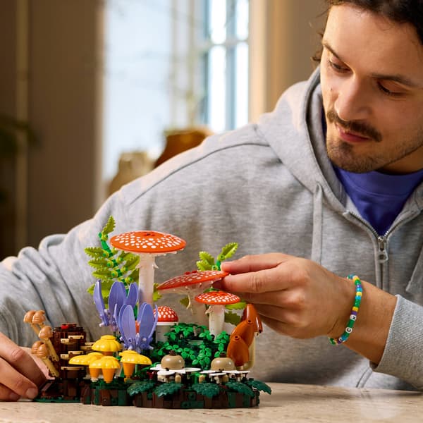 LEGO Botanicals 11505 Forest Mushrooms
