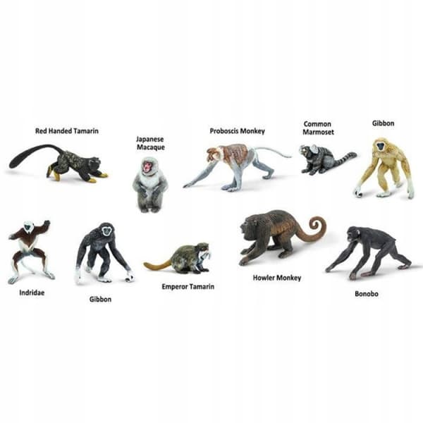 SAFARI LTD PRIMATES FIGURINES SET – PRIMATES – Montessori