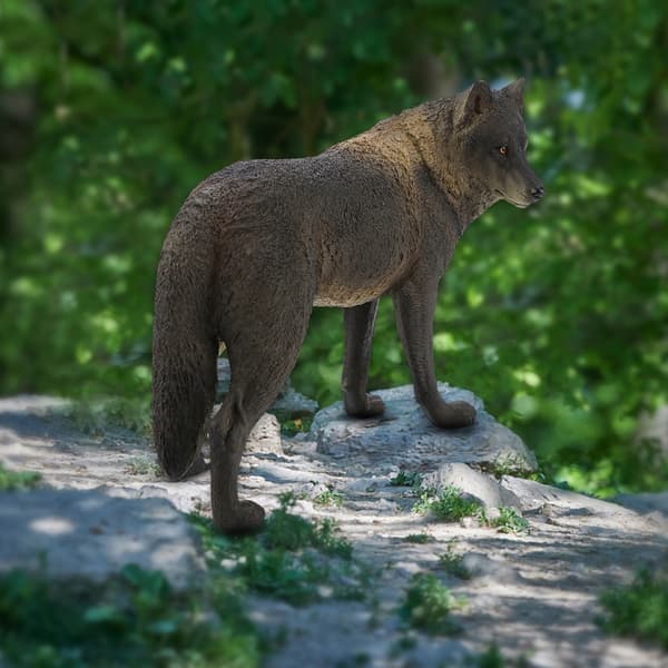 WOLF FIGURINE 17.5 × 6 × 13.5 cm WILD NATURE SIMULATION MODEL