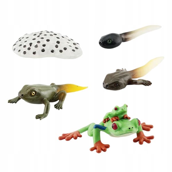 Life cycle Animal figures Toy for developmental play Early Style A