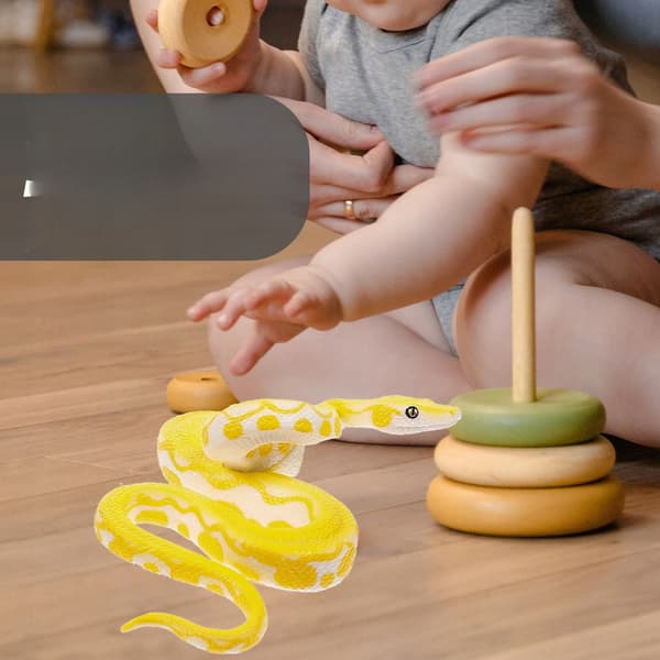 2 REALISTIC SNAKE MODELS – DECORATIONS AND PROPS FOR PRANKS
