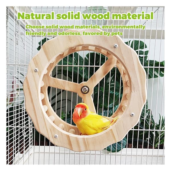 Interactive bird toy – with a perch and a wheel – designed to stimulate development