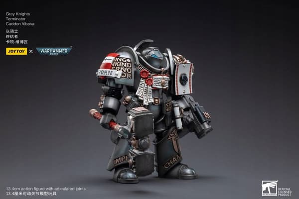 Grey Knights Terminator Caddon Vibova Warhammer 40k 1/18 Scale Figure, 13 cm