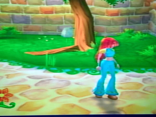 Winx Club PS2 game – READ THE DESCRIPTION!