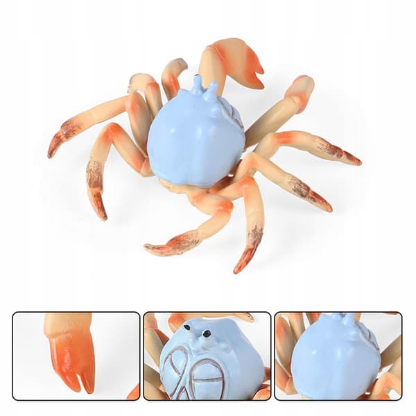 Mini Animal Model Display Props Miniature Statues Freshwater Crab Play Set