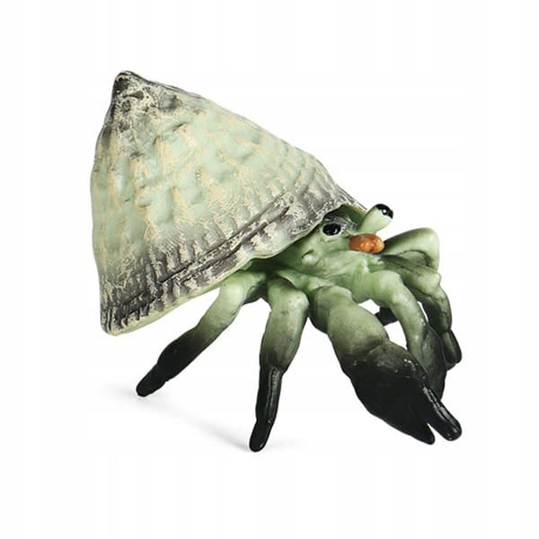 Marine animal simulation, Hermit Crab Plastic animal model, Seaweed