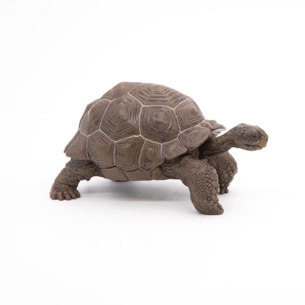 GALAPAGOS TURTLE [FIGURINE]
