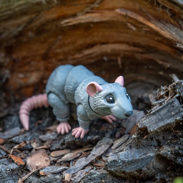 Rat | 3D pop-up colouring book + paints and a paintbrush