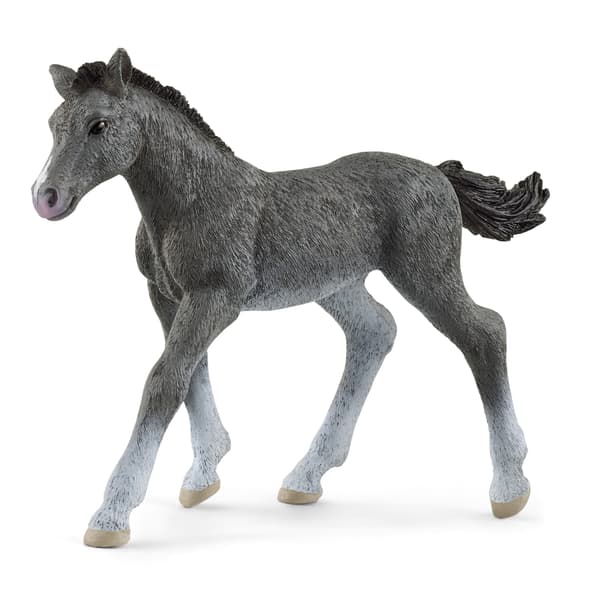 A THRAKEN FOAL