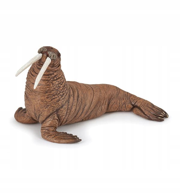 PAPO Seals Figurines