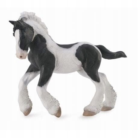 A Tinker foal with a piebald coat