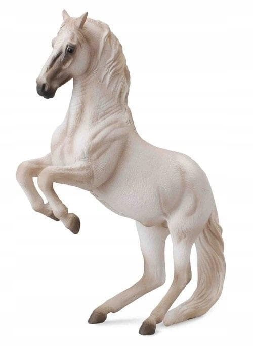 LIPZZANNER STALLION, COLLECTA