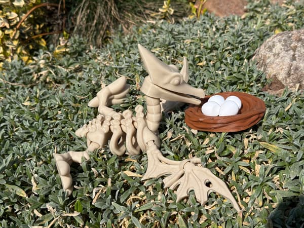 3D Pteranodon Skeleton + Nest with Eggs – a movable, articulated model