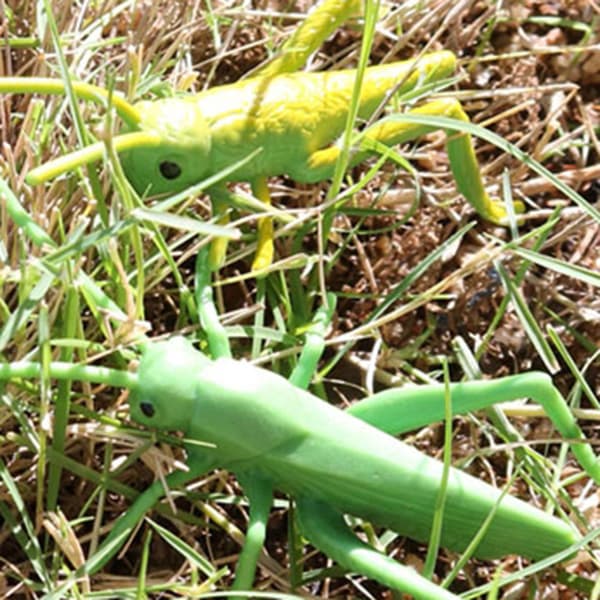 Baosity Plastic Simulation: Nature in Grasshopper