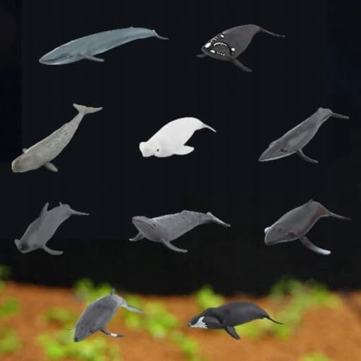 10 Realistic Animal Models: Arctic Animals