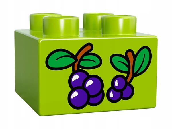 LEGO Duplo 10576 – Zoo Keeper