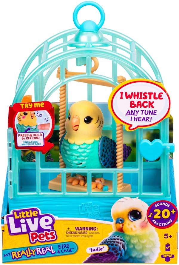 Little Live Pets 26691 Moose Interactive Talking Bird