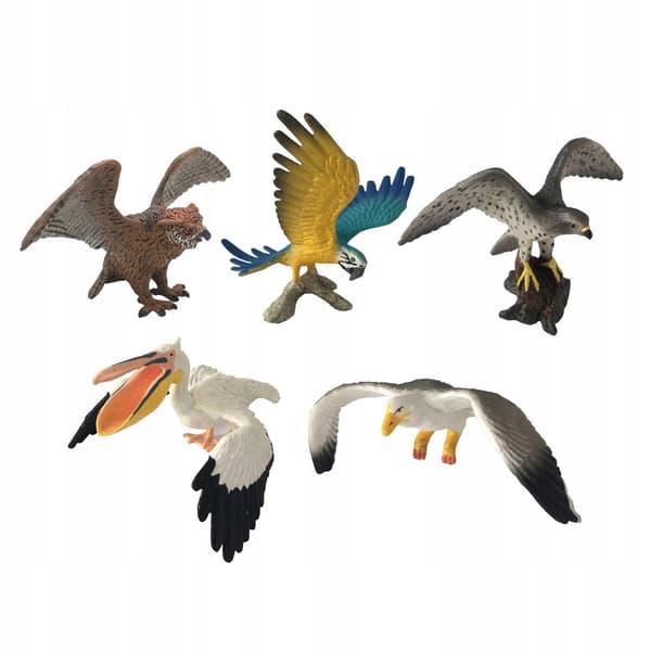 5-Piece Bird Simulation Model Educational Toy Collection – A-Style Decoration