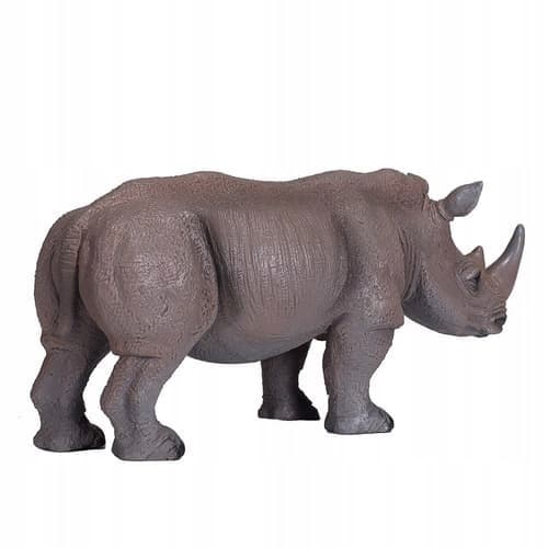 Mojo the White Rhinoceros
