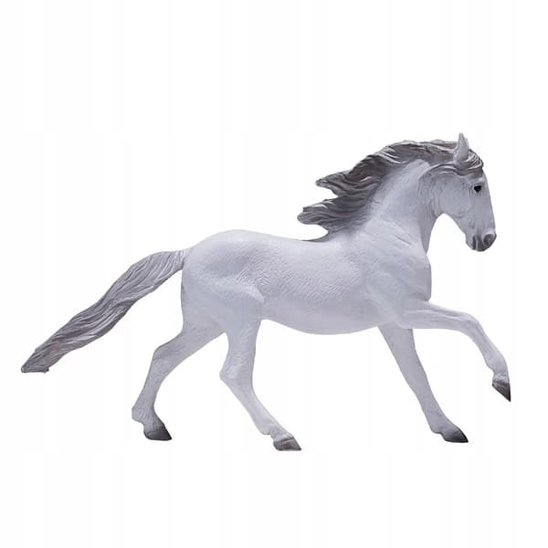 Mojo, a white Lusitano horse