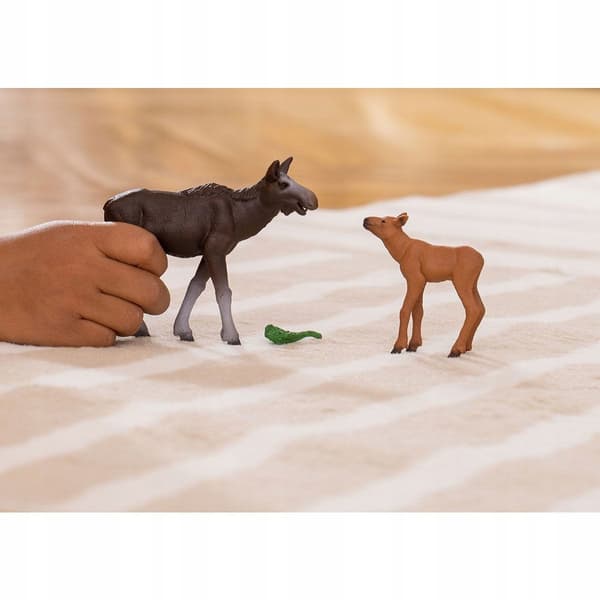 Moose with a calf 42603