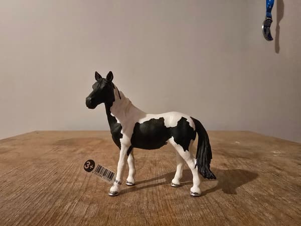 Schleich 13795 Pinto Mare Figurine – a unique, discontinued model from 2010.