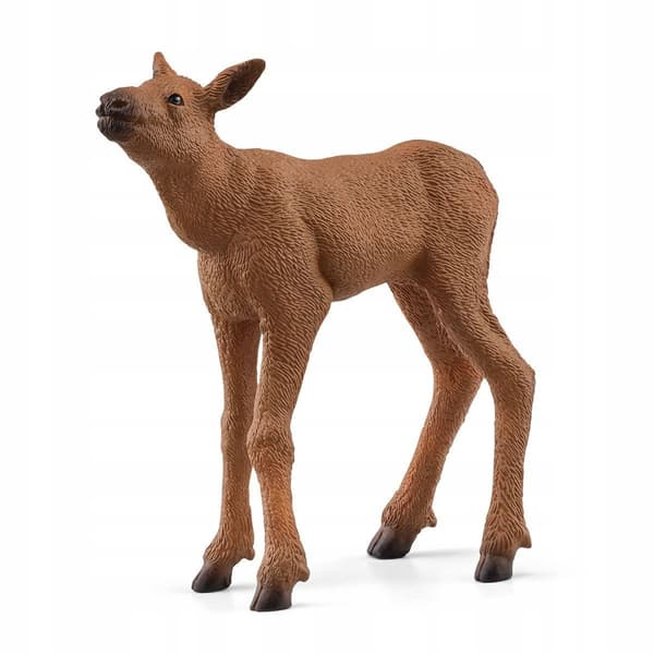 Moose with a calf 42603