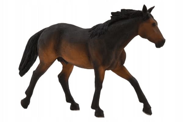 Mojo, a brown Quarter Horse