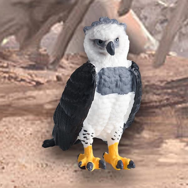 Animal bird model figures Science Educational toy Simulation in A-style