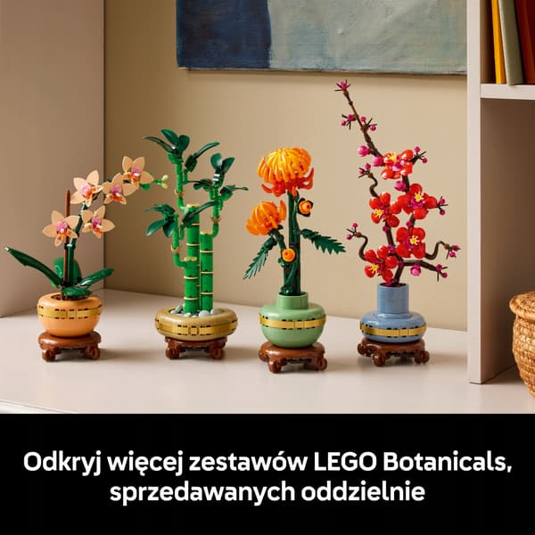 LEGO Botanicals Dracaena sanderi 10344