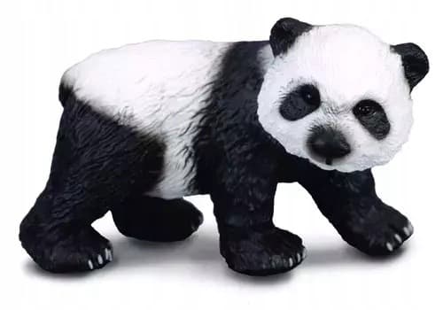 A standing giant panda cub, S.