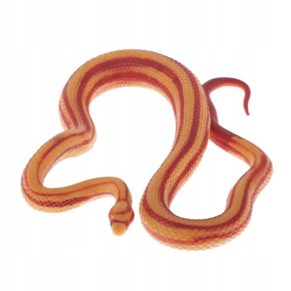 Animals Action figure models Educational science Educational snake