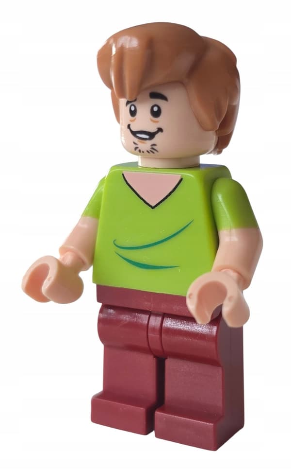 LEGO Scooby-Doo Shaggy Rogers scd003