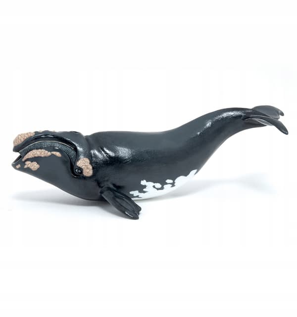 YOUNG WHALE FIGURINE - PAPO - 56057